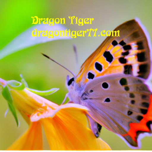 Evolução dos jogos de casino