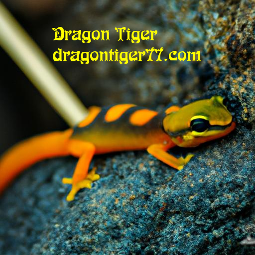 estratégias para vencer